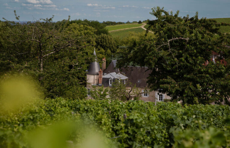 Vue du Château de Lestang depuis les vignes.