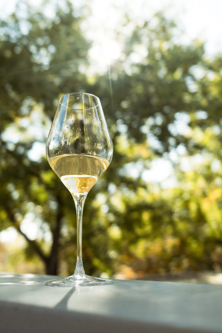 Verre de vin blanc de Sancerre - Château Lestang 1573