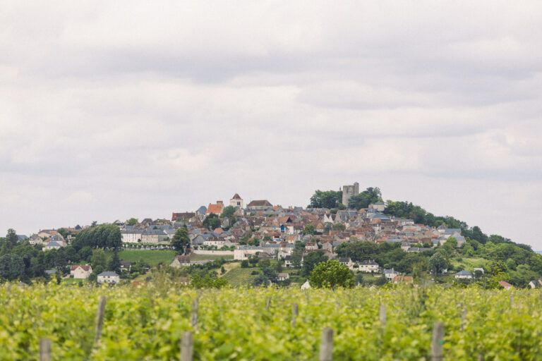 Vignes de Lestang 1573 avec la vue sur le village de Sancerre