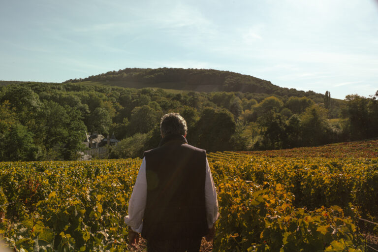 Rémy Graillot entouré de vignes sauvignon blanc sur sol 100% silex
